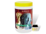 GUMOSIL WW  + katalizator kauczuk formierski - 5 kg