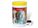 GUMOSIL S + katalizator kauczuk formierski - 5 kg
